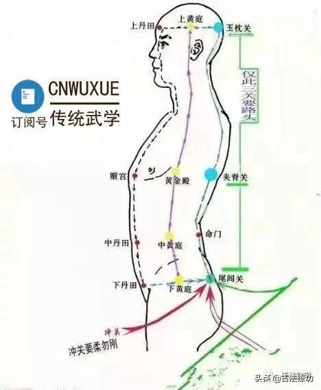 任督二脈走動圖